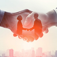 Plants: image 4 0f 4 thumb